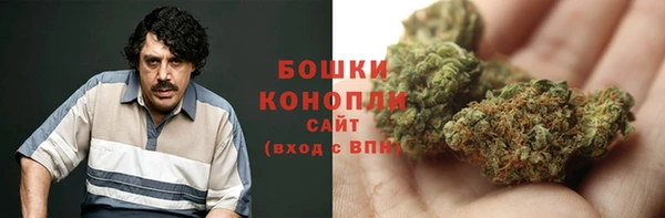 молекула духа Наволоки
