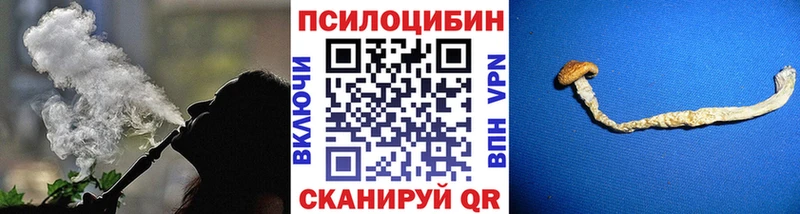 Галлюциногенные грибы Psilocybine cubensis  магазин    Нахабино 