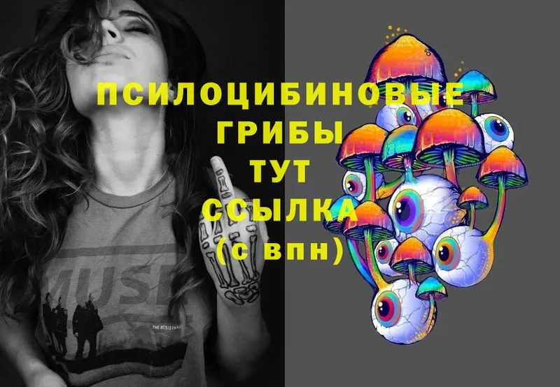 Галлюциногенные грибы MAGIC MUSHROOMS  omg зеркало  Нахабино  где купить наркотик 